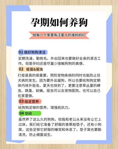 狗怀孕多久能生-第1张图片