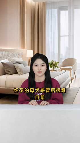 备孕前感冒会自愈吗-第1张图片