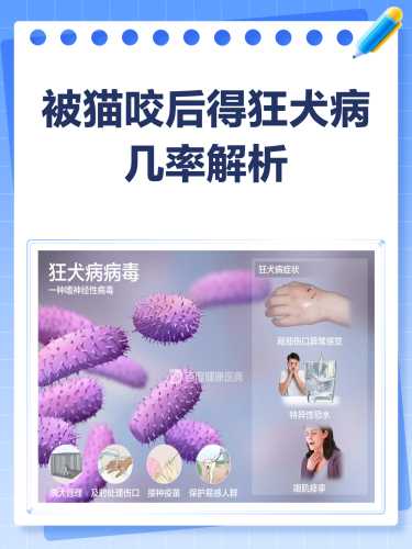 狂犬病猫能怀孕吗-第1张图片