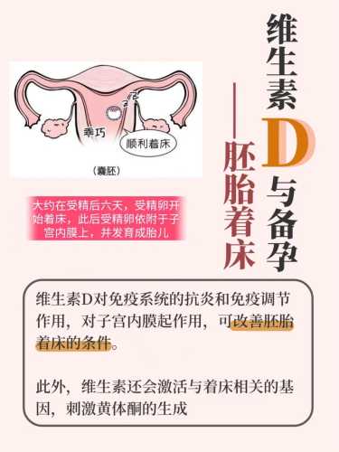 备孕维生素D仅17需补吗-第1张图片