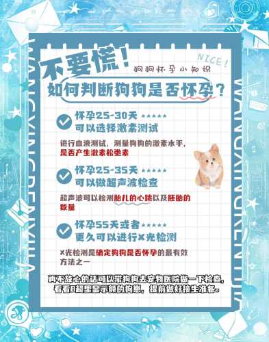 孕期能养狗吗-第1张图片