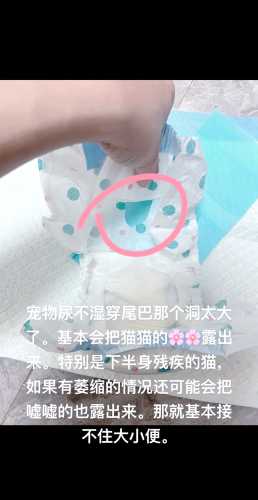如何自治尿不湿-第1张图片