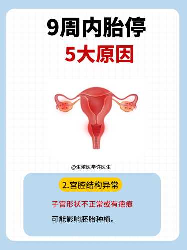 孕九周无孕反正常吗-第1张图片