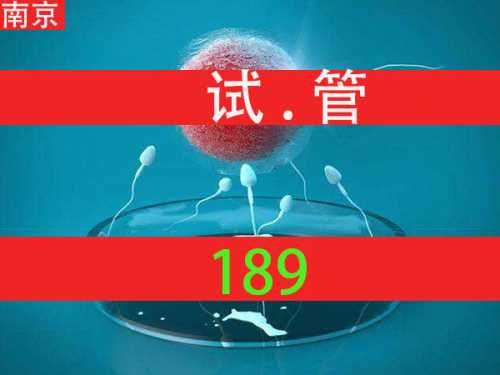 正规试管婴儿的费用是多少-第1张图片