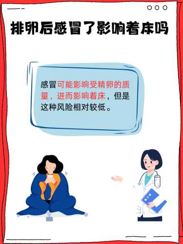 双方感冒会影响备孕吗-第1张图片