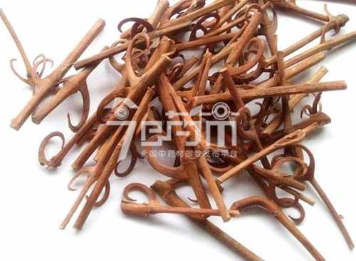 新生儿可以喝钩藤茶吗-第1张图片