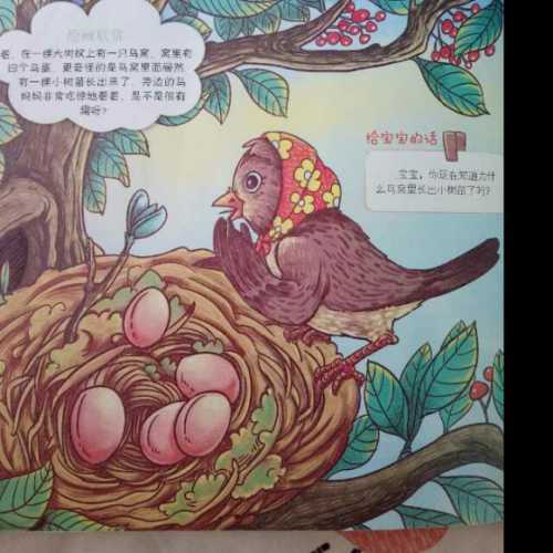 宝宝树每日胎教具体有啥内容-第1张图片