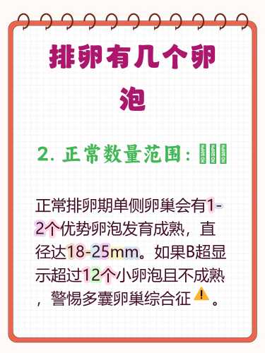 备孕需要查卵泡发育吗-第1张图片
