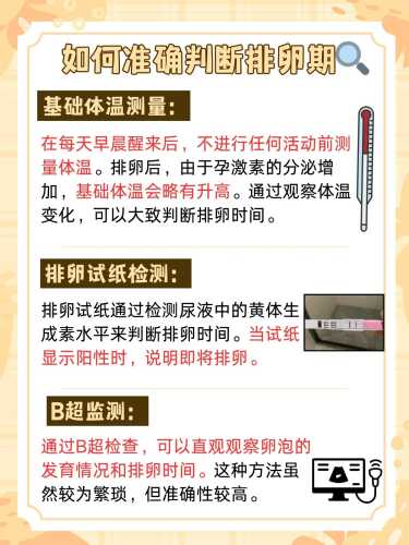 备孕月经期间检查什么-第1张图片