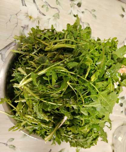 坐月子能吃荠菜吗-第1张图片