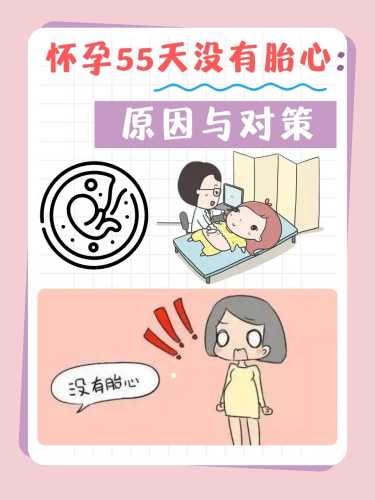 孕五周多没孕反正常吗-第1张图片